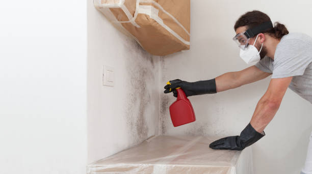Professional Mold Removal technician working in Lumberville, PA